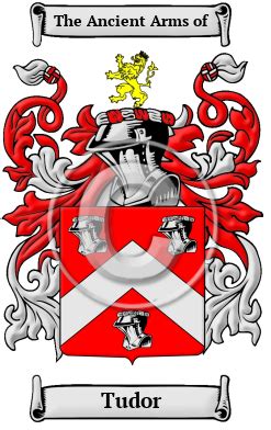 Tudor Name Meaning, Family History, Family Crest & Coats .